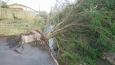 Take care folks if you're walking behind the old Penmare , tree down knocking the retaining wall into the river. The correct people have been notified to make safe, but it may take a while, as other more serious damage is taking priority.